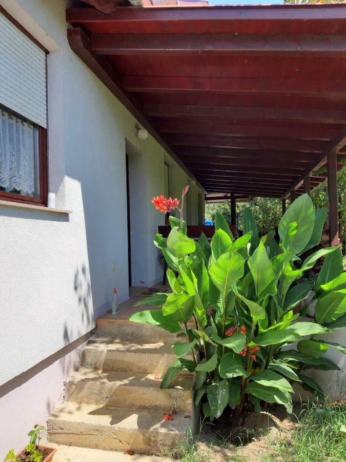 Apartment Natur Zagreb Ngoại thất bức ảnh