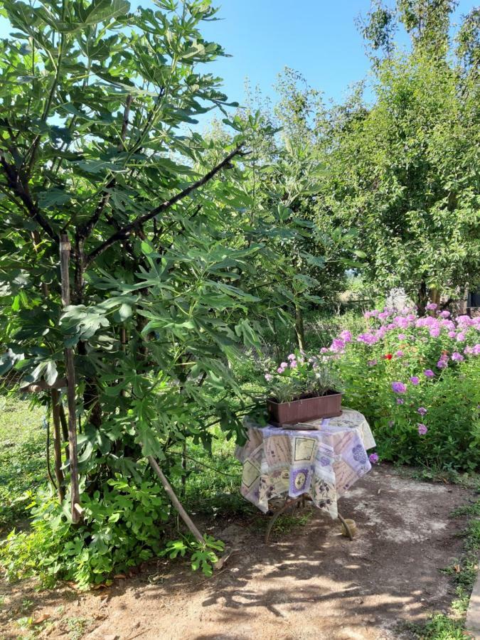 Apartment Natur Zagreb Ngoại thất bức ảnh